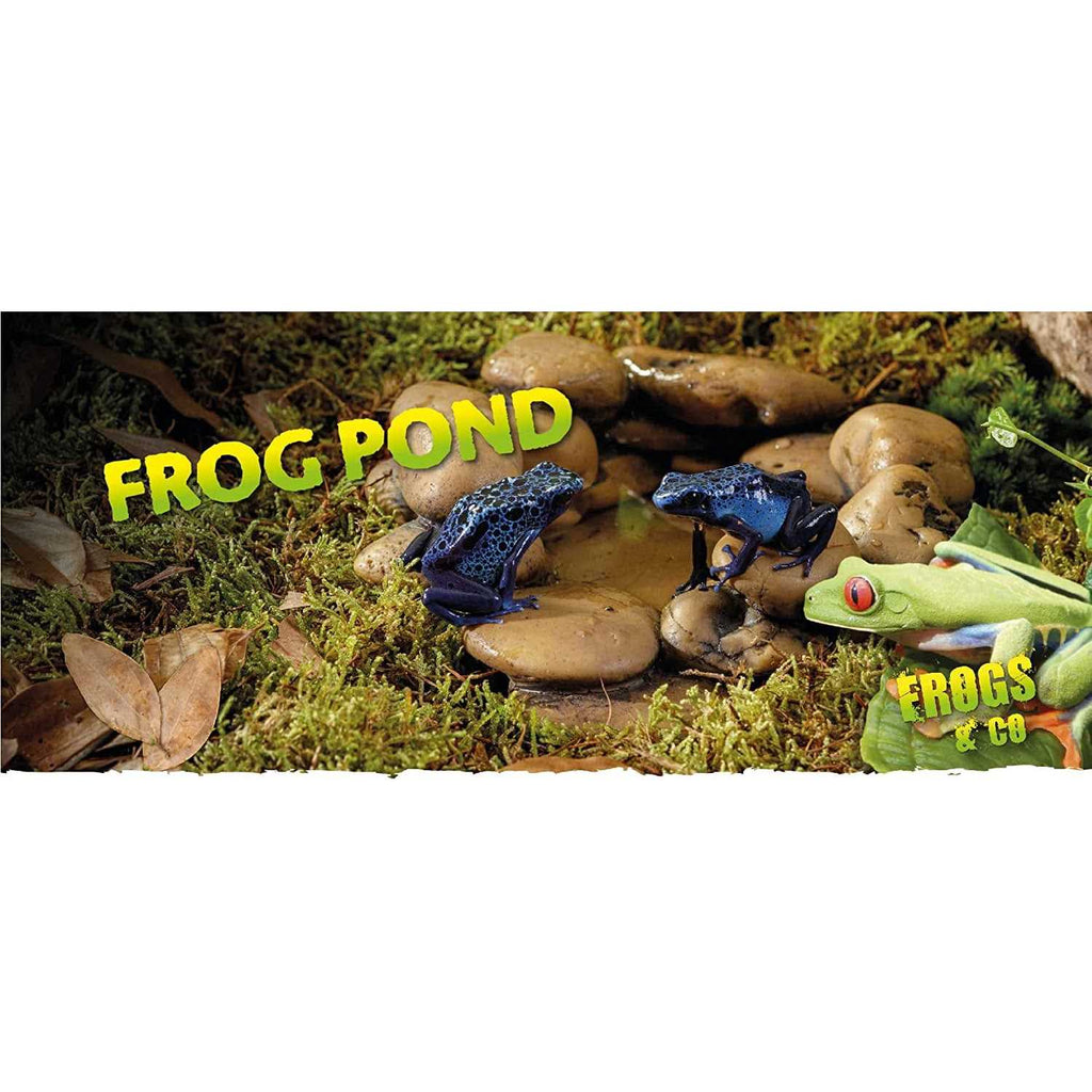 Frog Pond V378890