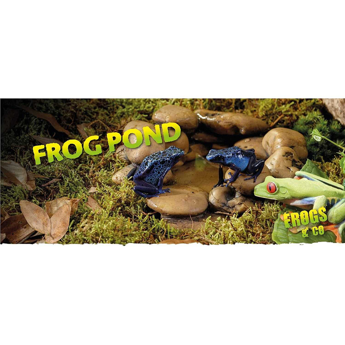 Frog Pond V378890