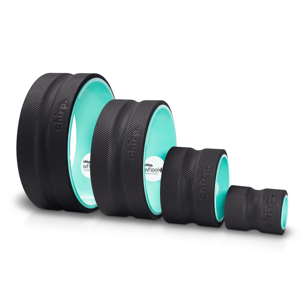 4 Pc Foam Roller Set X401582
