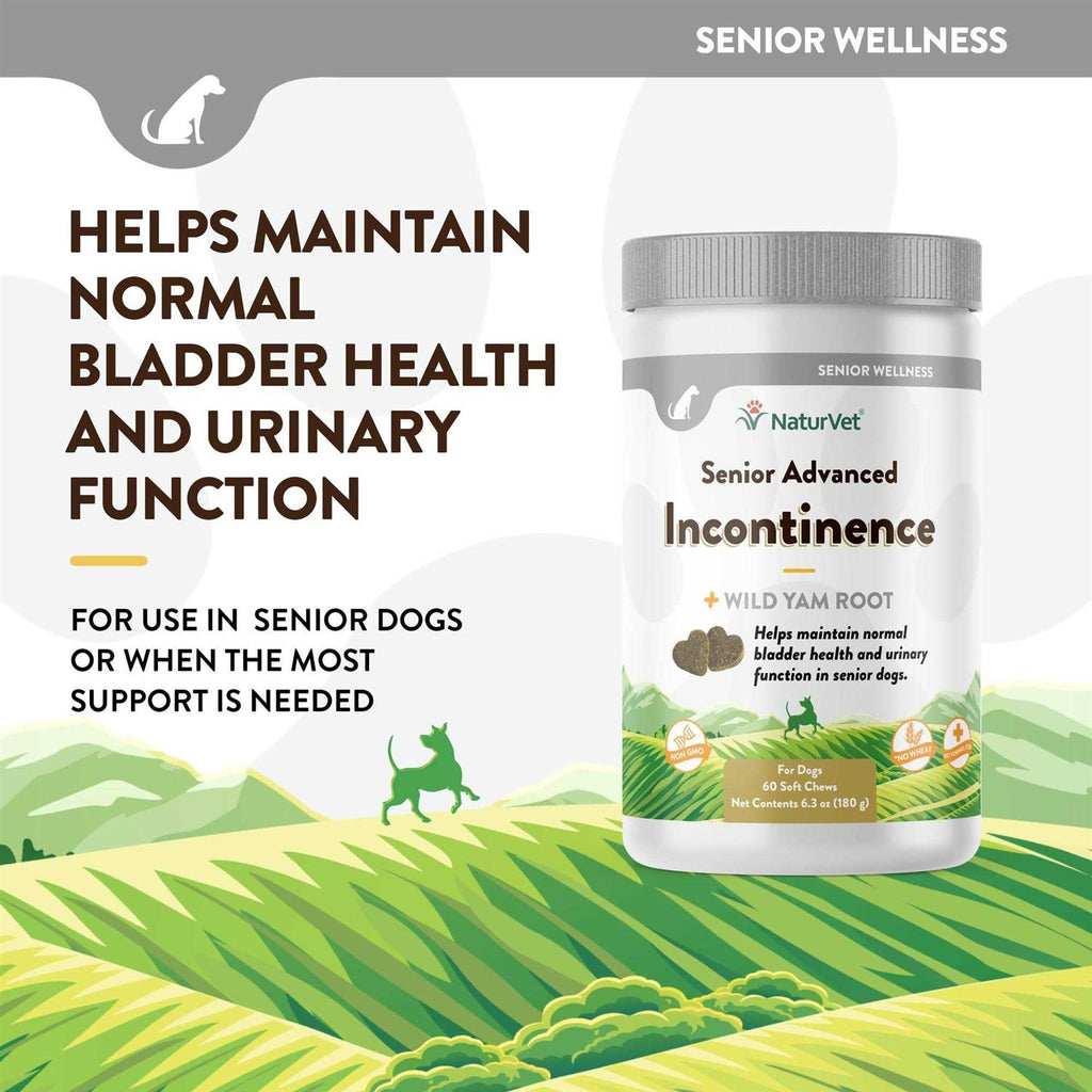 Senior Incontinence Soft Chews I3147