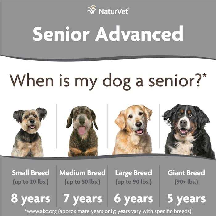 Senior Incontinence Soft Chews I3147