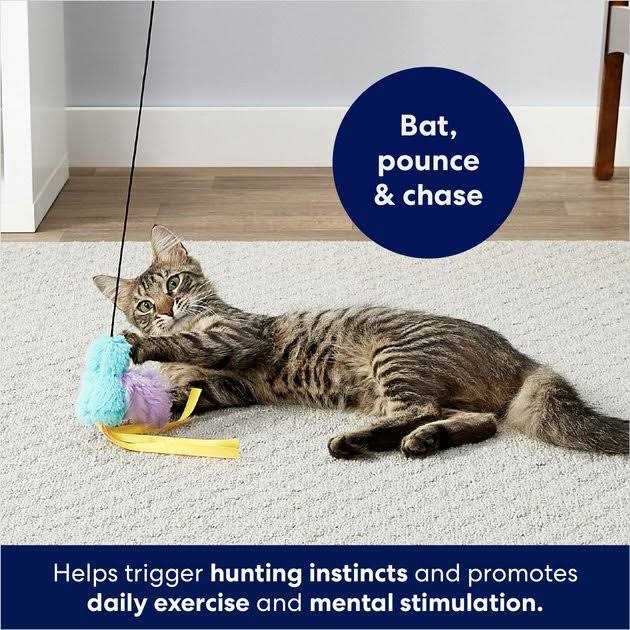 Catnip Cat Teaser Wand Toy Y5363