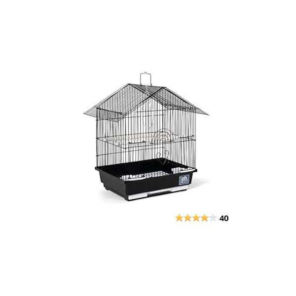 Parakeet Manor I440280