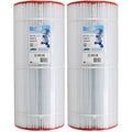 100 Sq ft Cartridge Filter Z237
