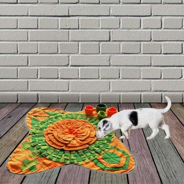 Snuffle Interactive Dog Feeding Mat G7393