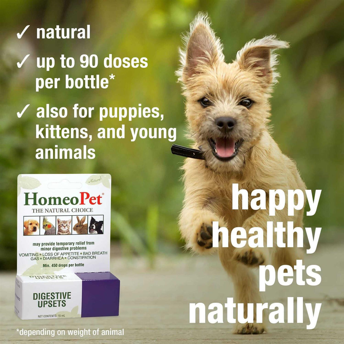 Pet Supplies P60181