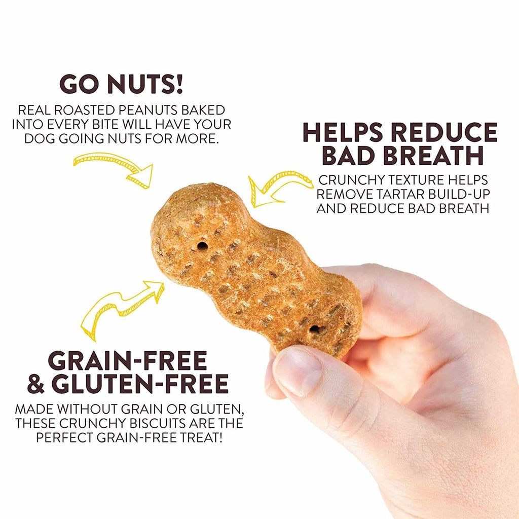 Peanutty Bites Dog Treats T416003