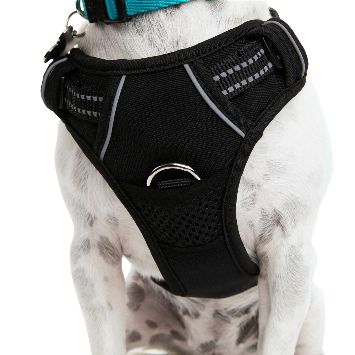 Black Front Walking Dog Harness D191