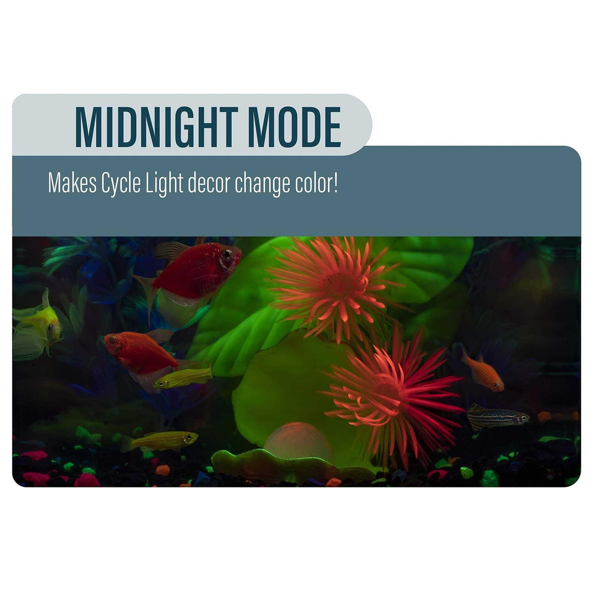 Aquarium Kit J9545