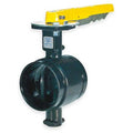 Butterfly Valve, Grooved, 2 In, Iron X508519