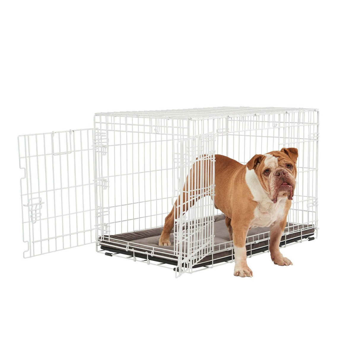 White 2-Door Dog Crate H248151