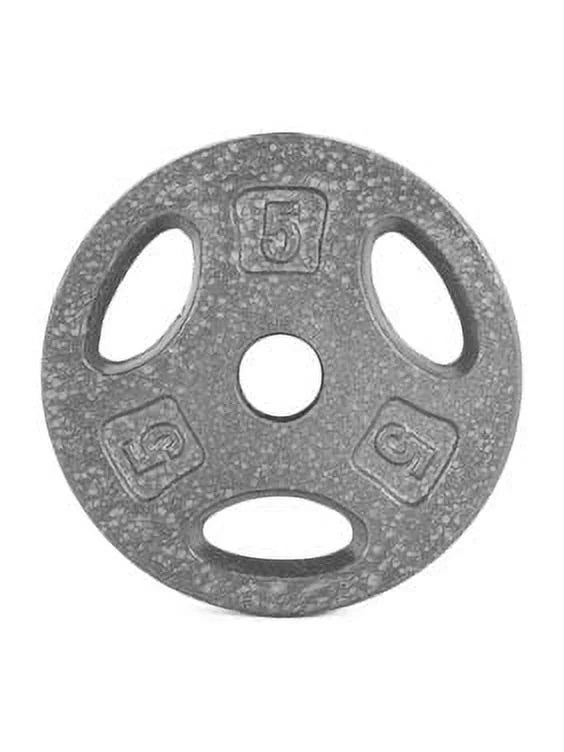 10 lb Standard 1-inch Grip Weight Plate R2322