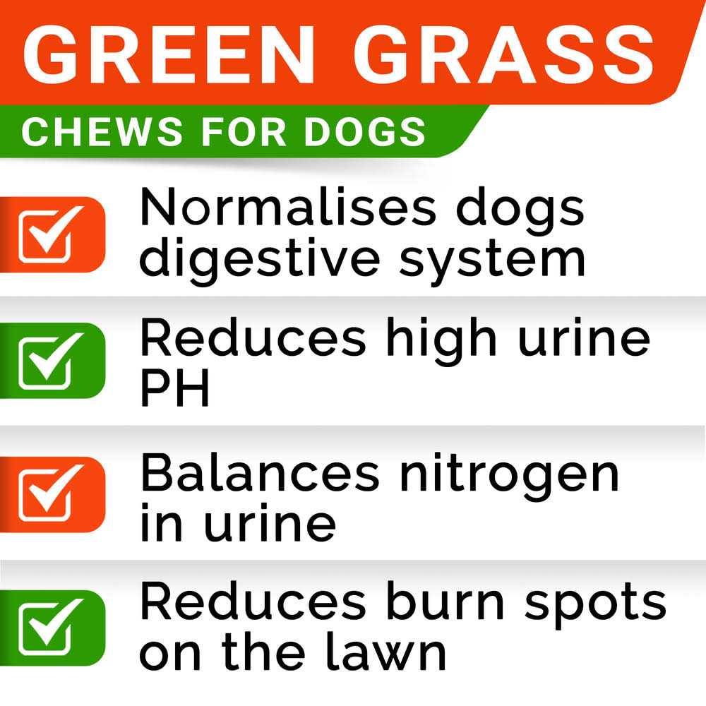 Grass Burn Spot Chews for Dogs S724244