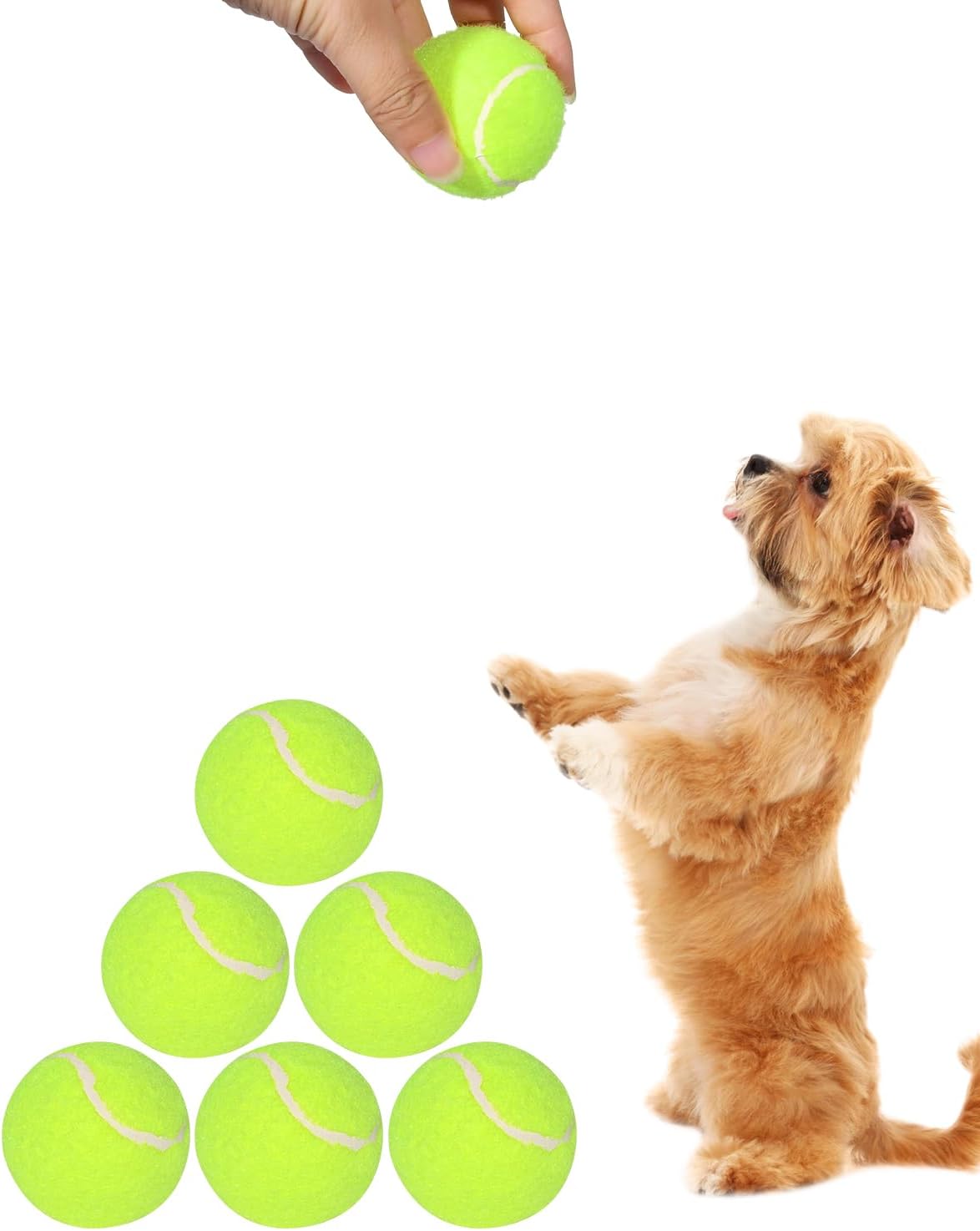2-Inch Tennis Balls for Dogs (12 Balls) V89501
