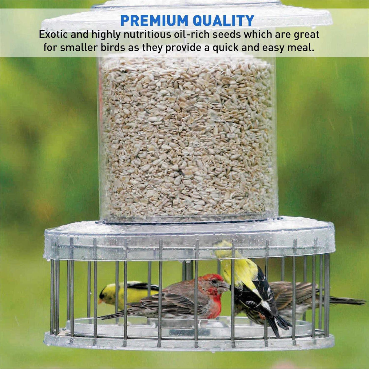 Sunflower Kernels Wild Bird Food 50 lb Z54681