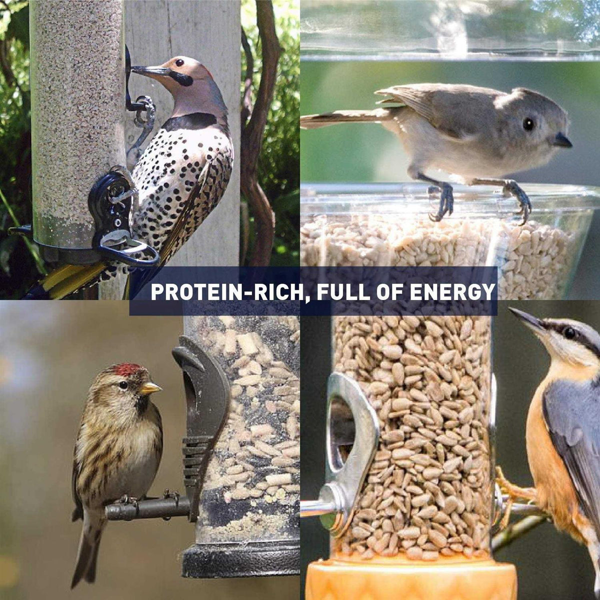 Sunflower Kernels Wild Bird Food 50 lb Z54681