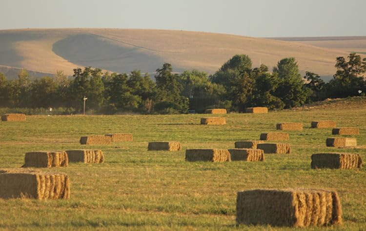 120 sq. ft. Organic Straw Mulch Cover Z823