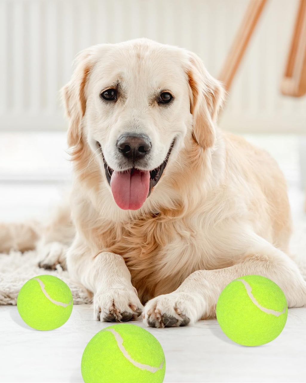 2-Inch Tennis Balls for Dogs (12 Balls) V89501