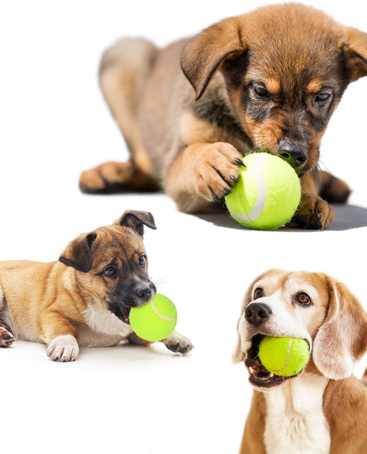 2-Inch Tennis Balls for Dogs (12 Balls) V89501