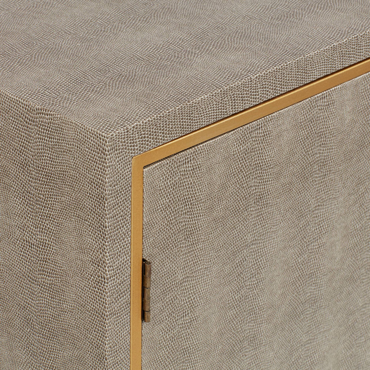 2-Door Cabinet in Grey and Gold F904