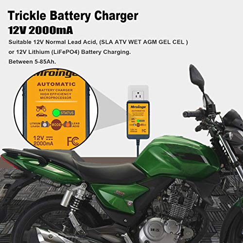12V 2A Automatic Trickle Battery Charger Smart Battery Maintainer P6460