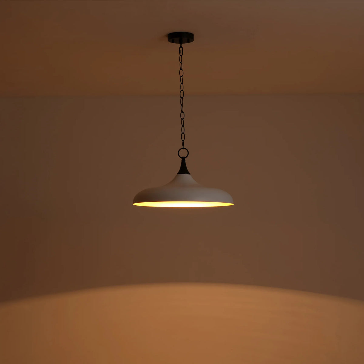 1-Light Dimmable Dome Pendant L71001