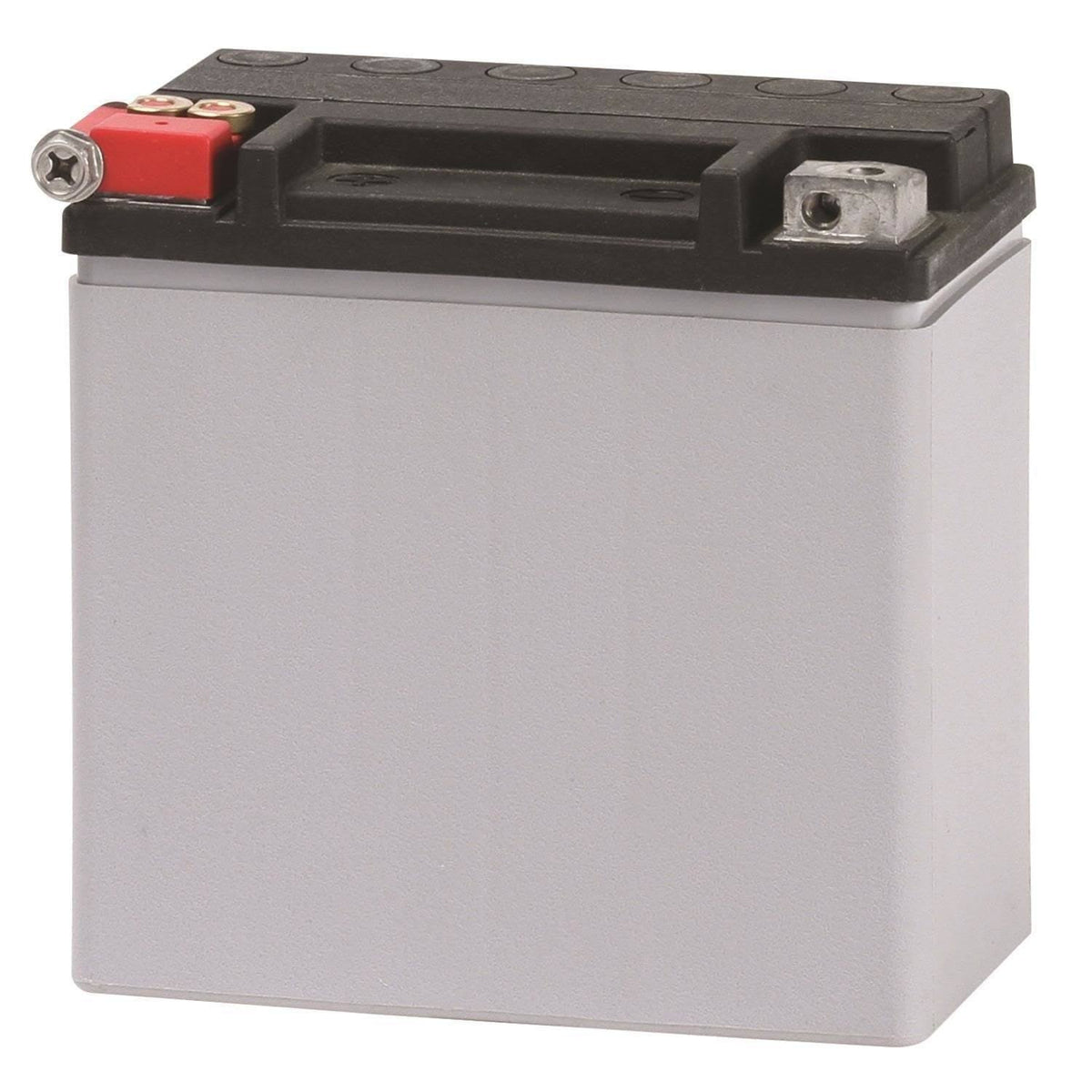 AGM Power Sport Battery 220 CCA U5986
