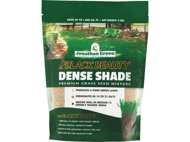 Black Beauty Dense Shade Grass Seed Mixture, 3 lb C56760