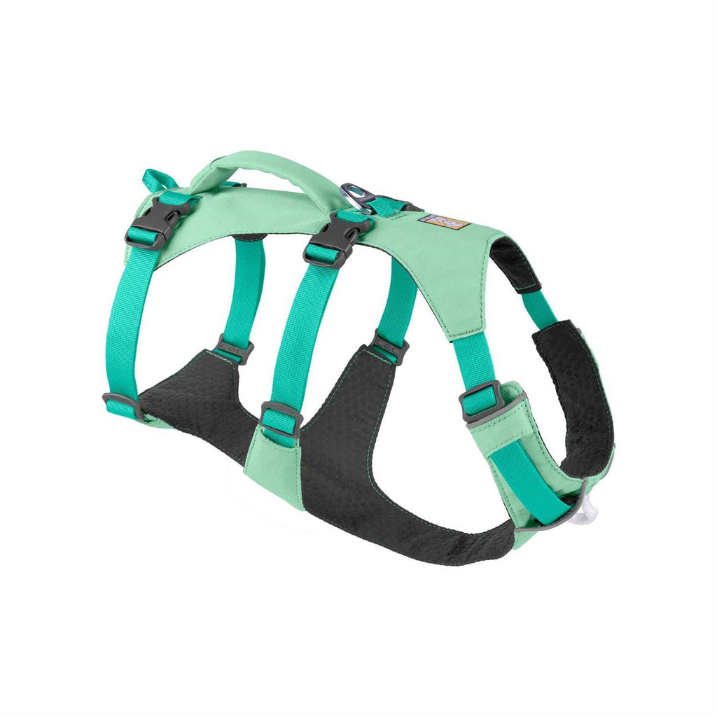 Harness L6976