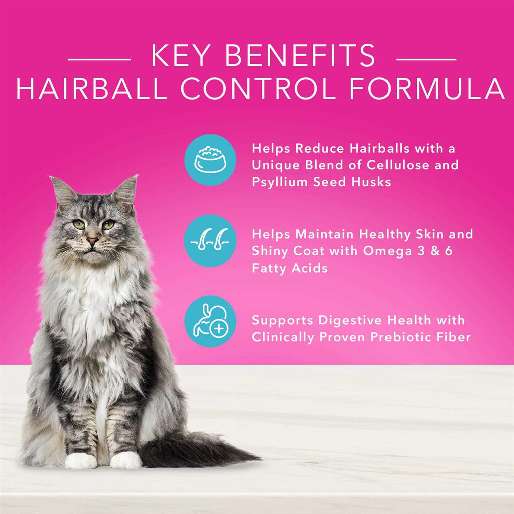 Natural Adult Dry Cat Food B538