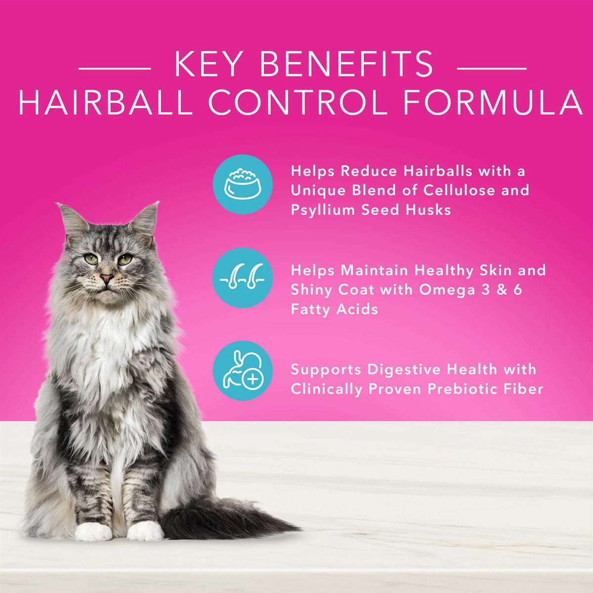 Natural Adult Dry Cat Food B538