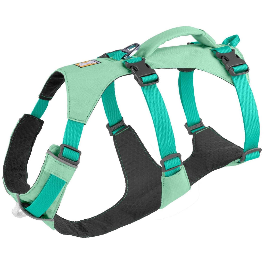 Harness L6976