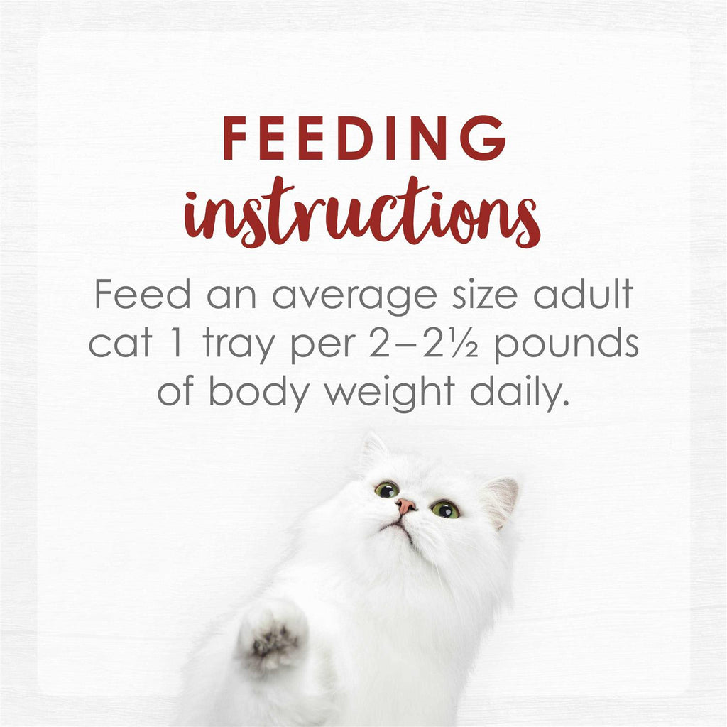 Cat Food Q74584