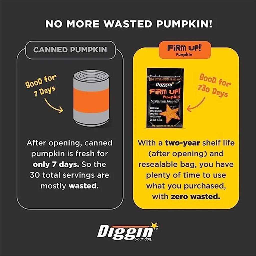 Pumpkin Supplement U337378