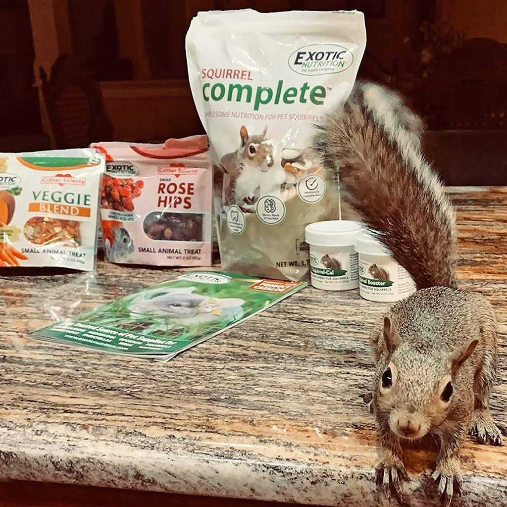 Squirrel Food Starter Package U20456