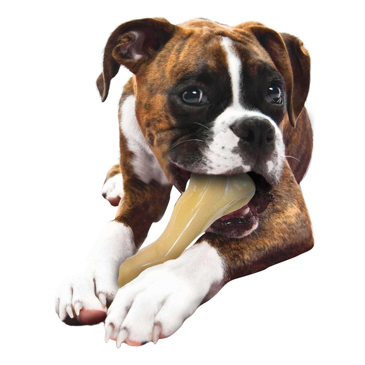 Big Chew Beef Bone A494
