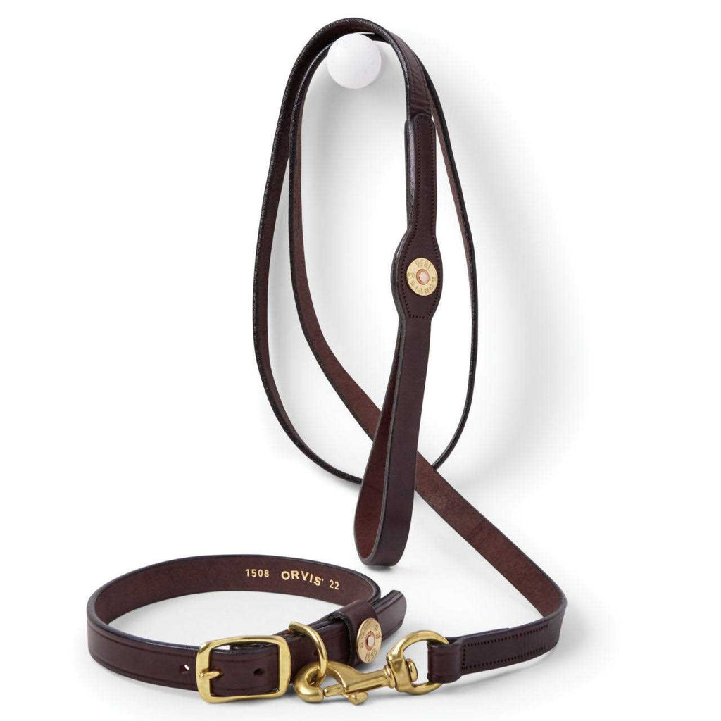 Dog Collar and Leash G379