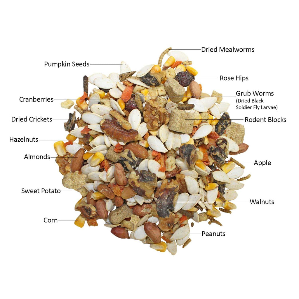 Squirrel Food Starter Package U20456