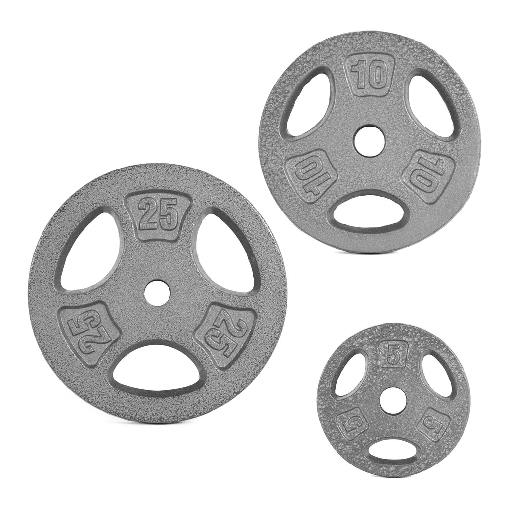 10 lb Standard 1-inch Grip Weight Plate R2322