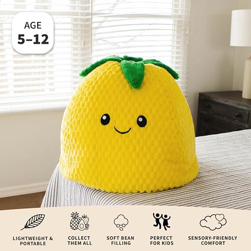 Classic Bean Bag Chair, Sapphire Smartmax, 2 feet Round V309