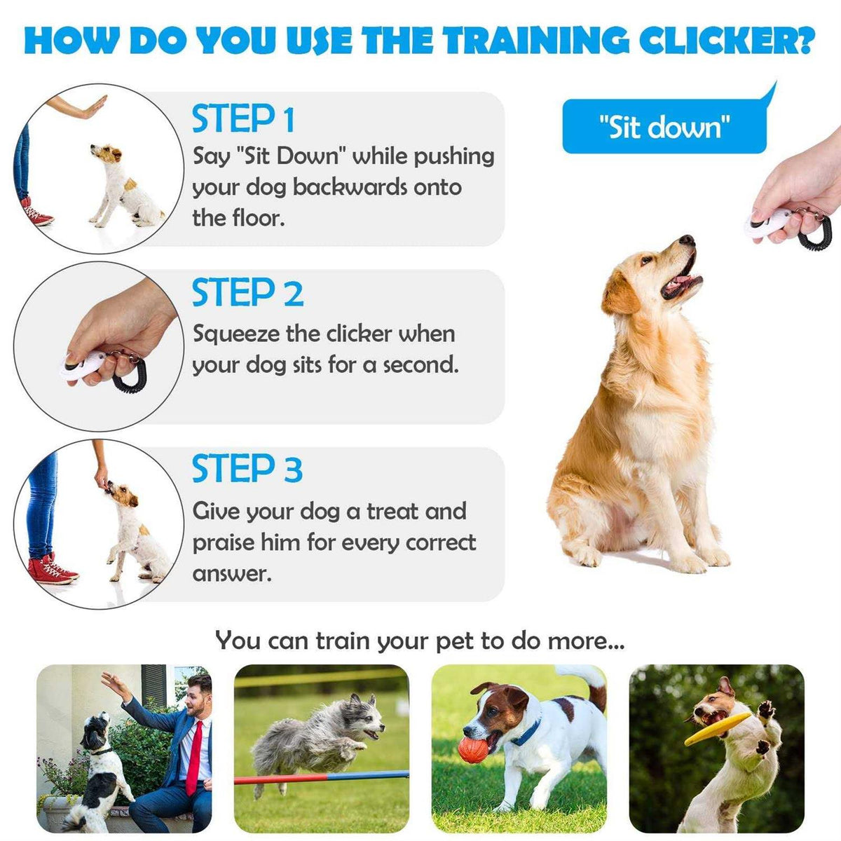 Dog Training Clicker with Wrist Strap F82074