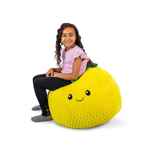Classic Bean Bag Chair, Sapphire Smartmax, 2 feet Round V309