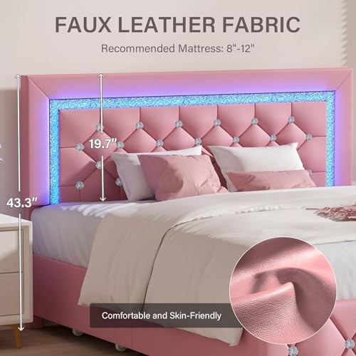 Queen Size Upholstered Platform Bed with Storage Drawers Q541957