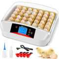 Automatic Egg Incubator with 42 Hatching Chicks D208845