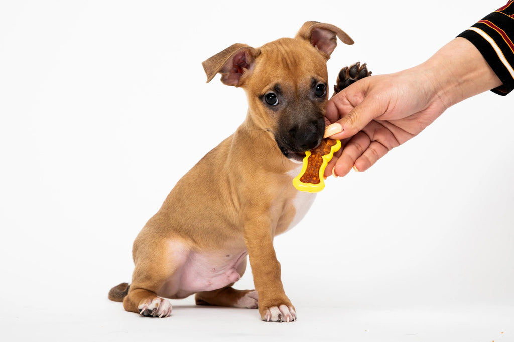0.88 OZ Bacon Dog Treat E289