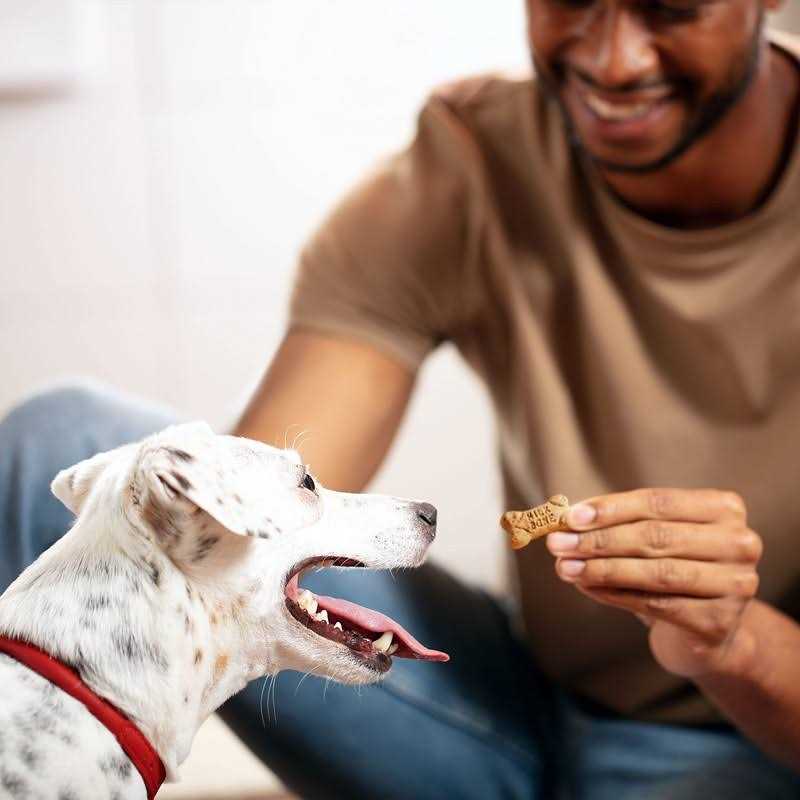 Mini Dog Treats L78847