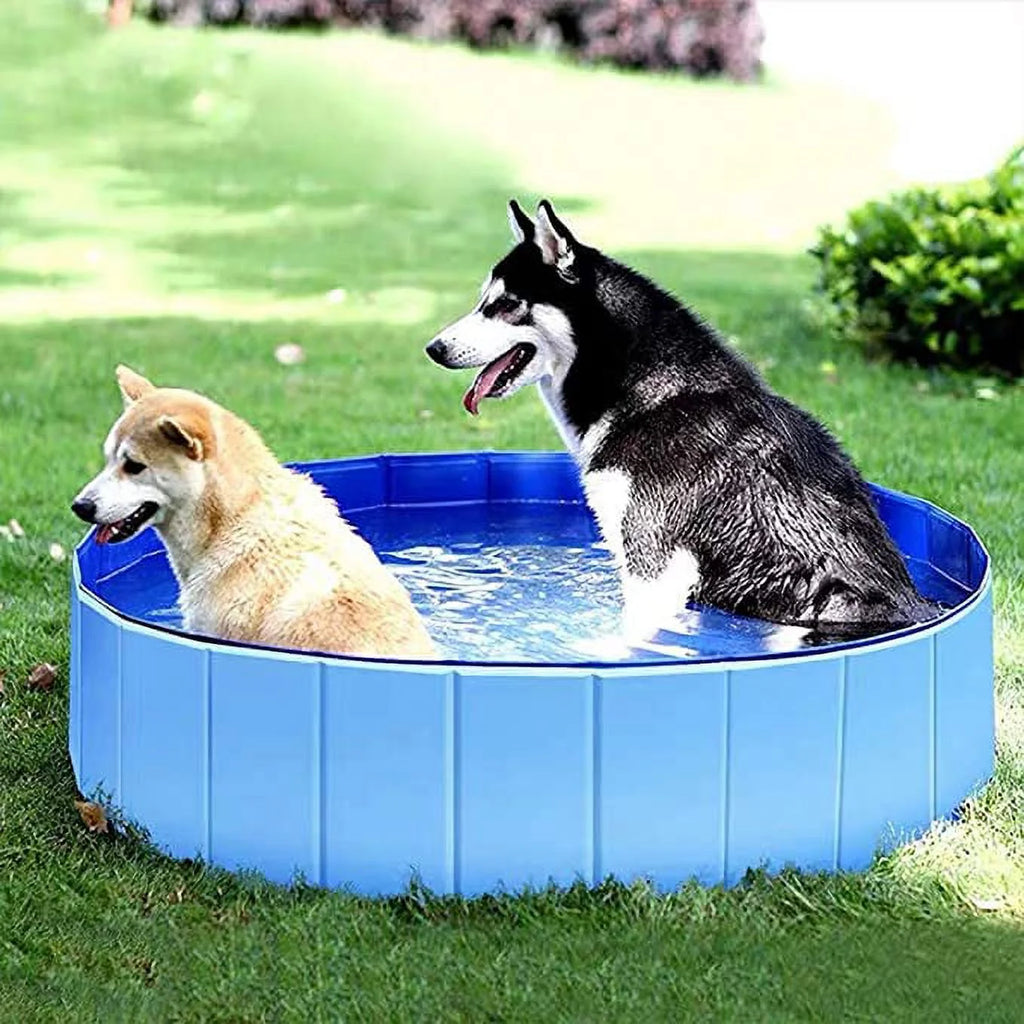 Foldable PVC Pet Swimming Pool Blue M R826