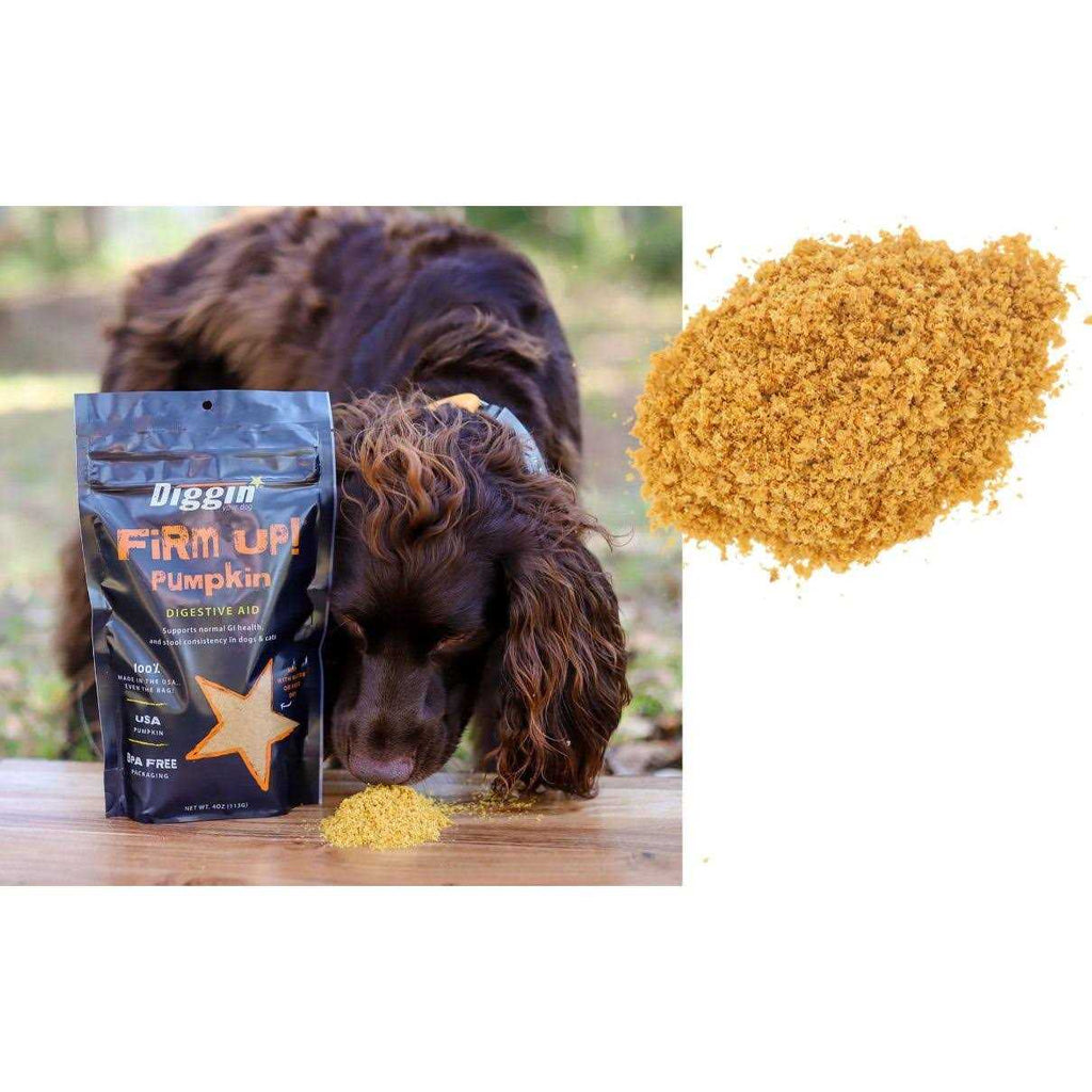 Pumpkin Supplement U337378