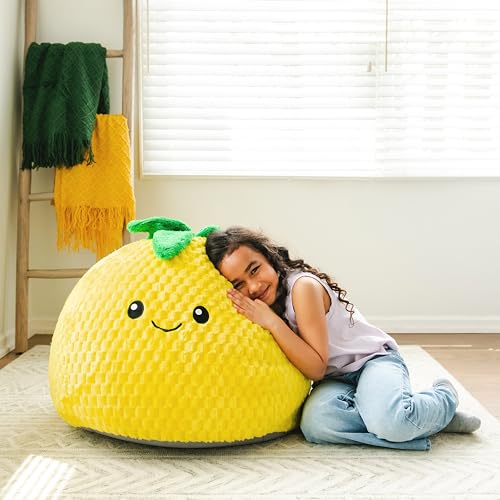 Classic Bean Bag Chair, Sapphire Smartmax, 2 feet Round V309