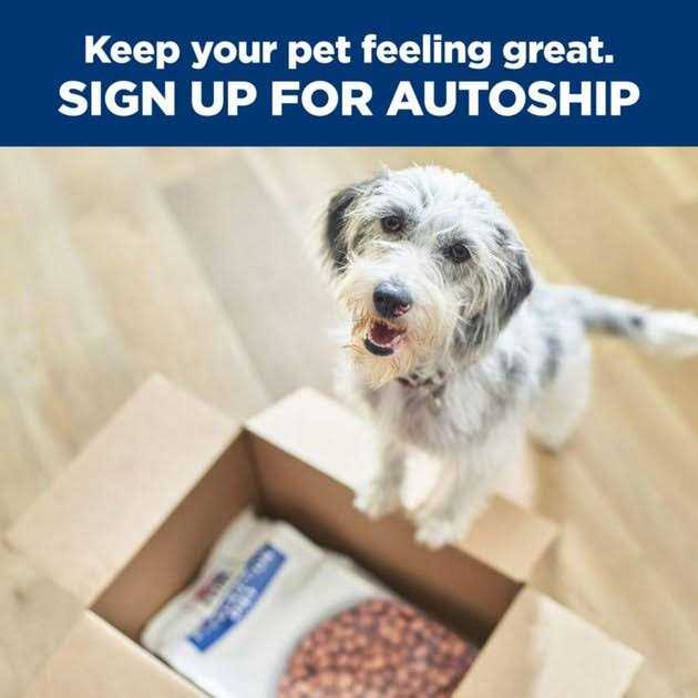 Wet Dog Food B44454